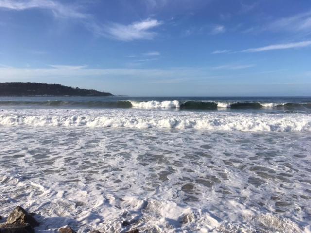 Appartement Les Hirondelles 2Km Plage-Wifi-Jardin-Parking-Draps Et Serviettes Hendaye Exterior foto